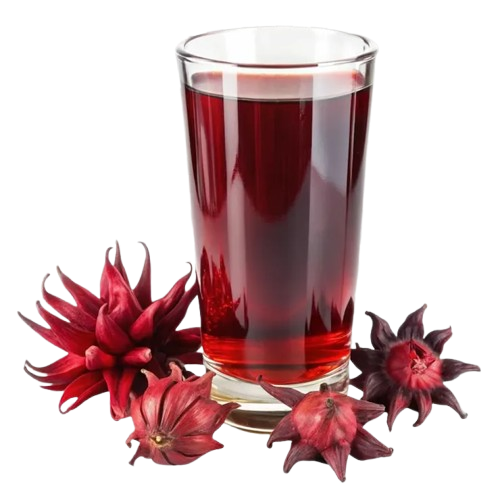 AGUA DE JAMAICA